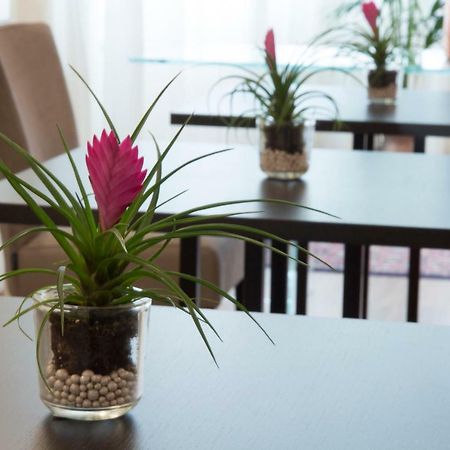 Parco Dell'Adige Rooms Верона Екстериор снимка